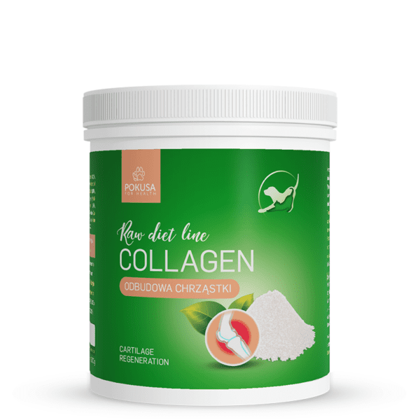 RawDietLine Kolagen (Collagen) - 200g - Pokusa