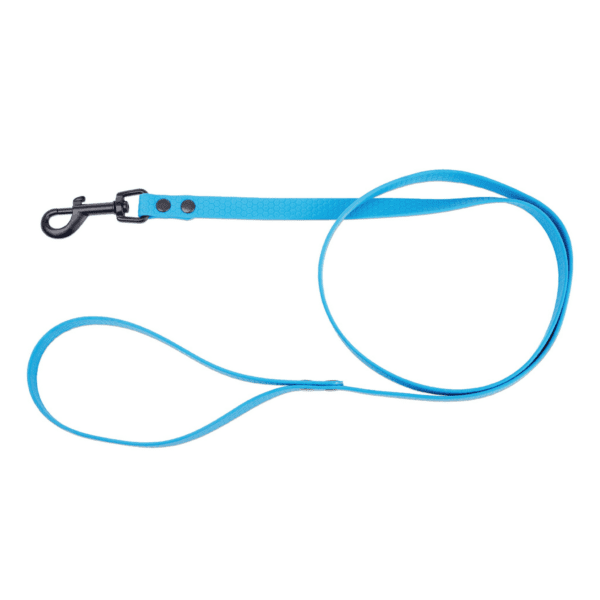 Smycz dla psa z wytrzymałej gumy, niebieski, 16mm/